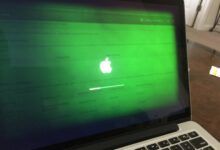 laptop screen green tint